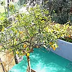 Ischiablue Apartamento Forio di Ischia